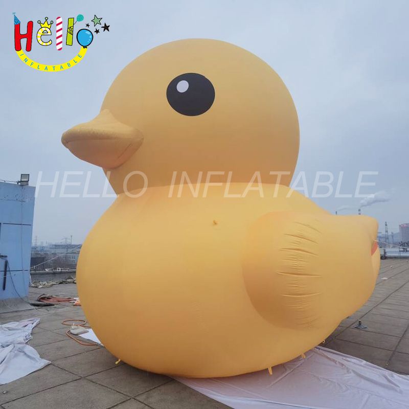 duck-6_结果