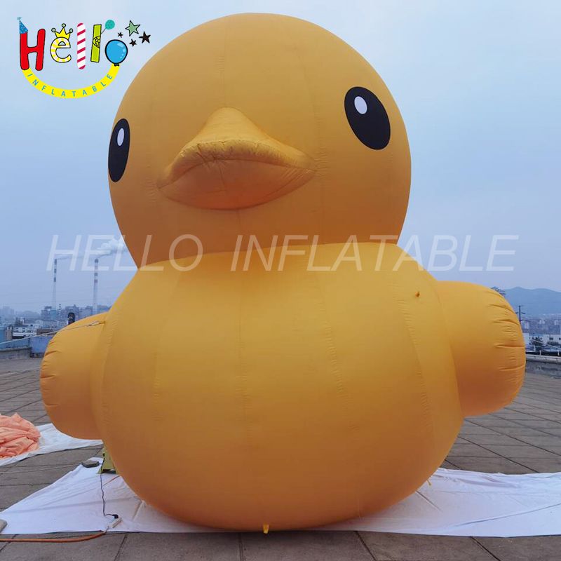 duck_结果