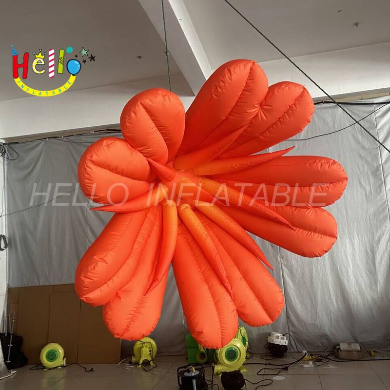 flower-3_结果