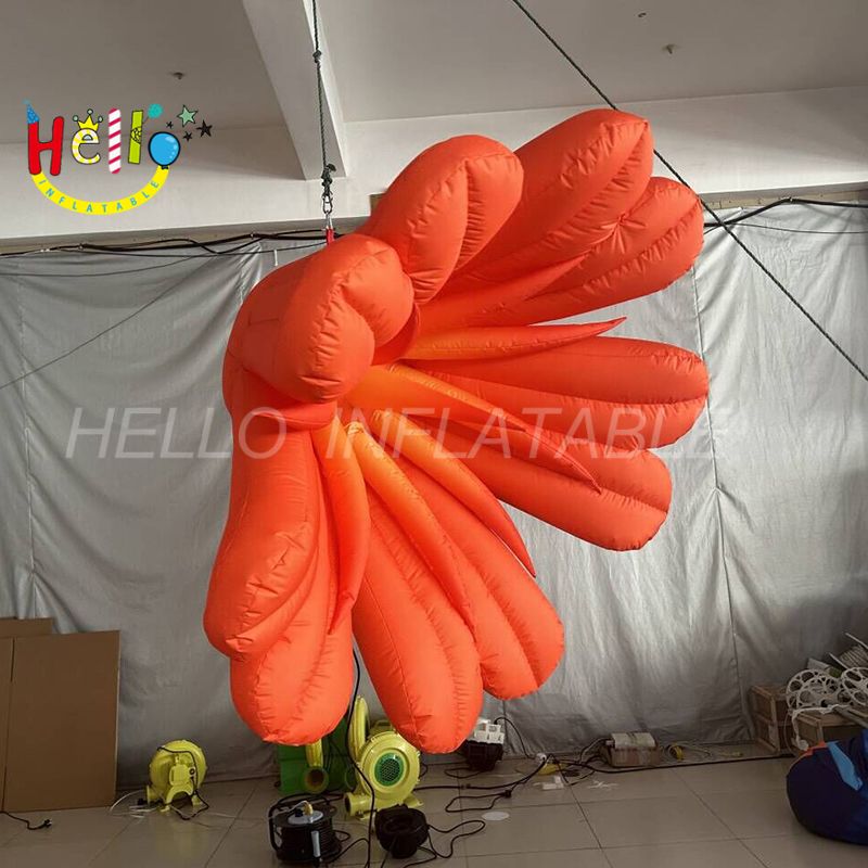 flower-5_结果