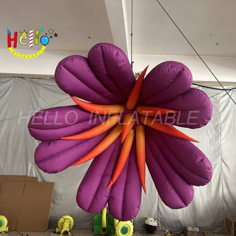 flower-5_结果