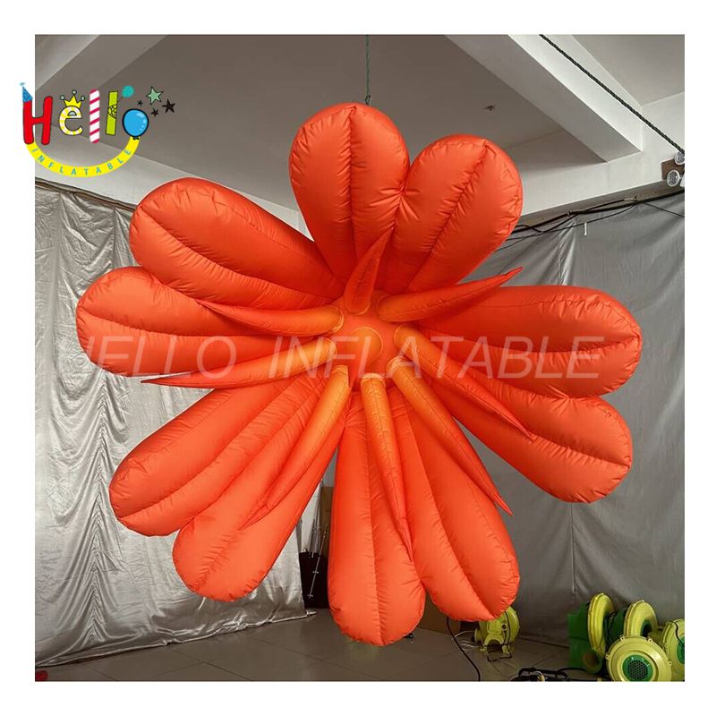 flower-6_结果