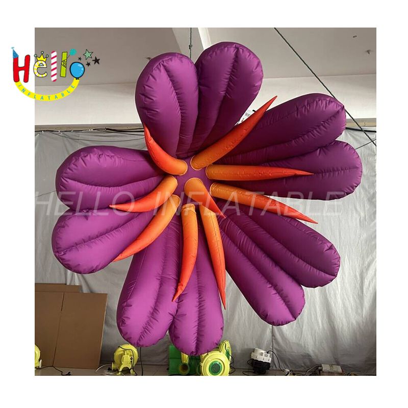 flower-6_结果