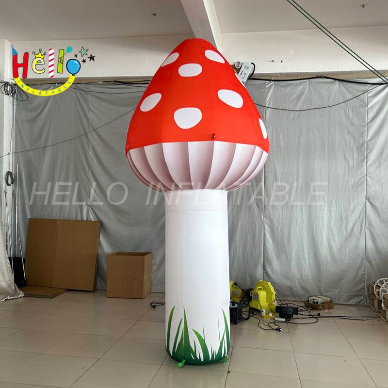 mushroom-2_结果