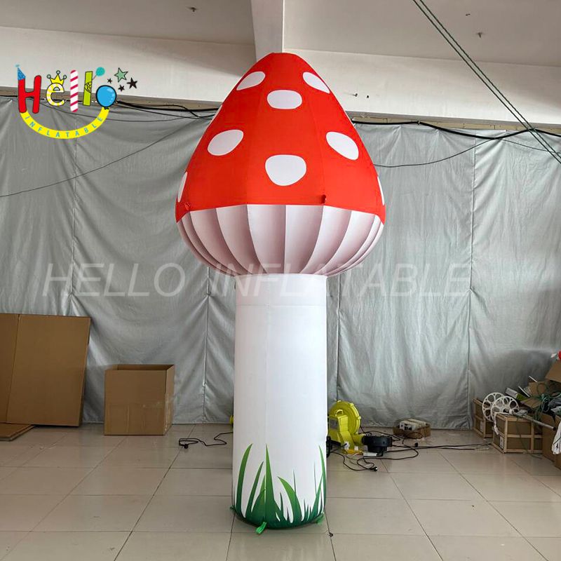 mushroom-3_结果