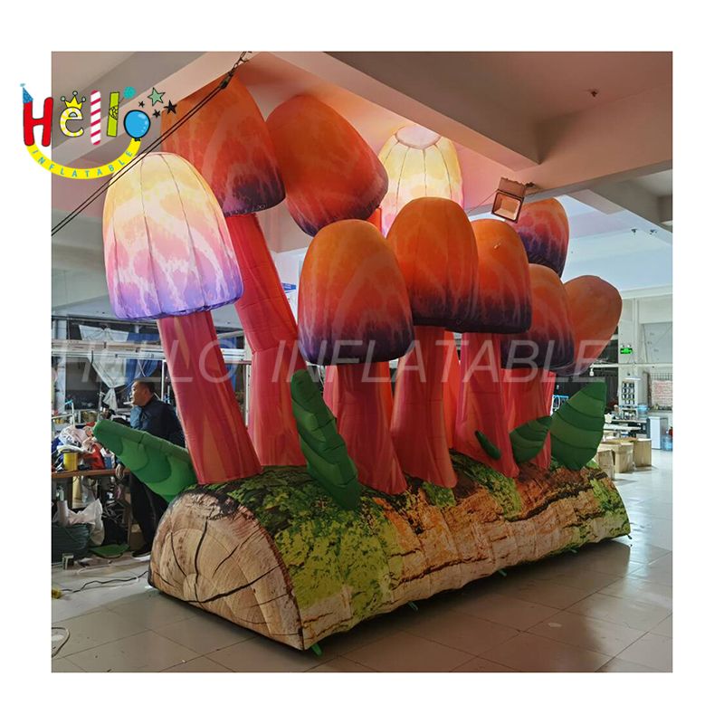 mushroom-3_结果