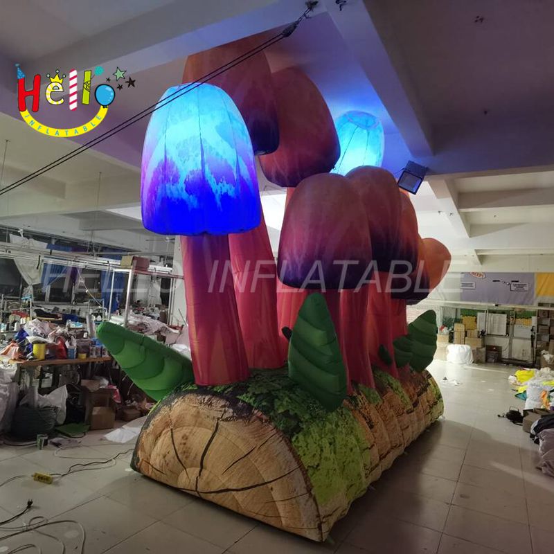 mushroom-4_结果