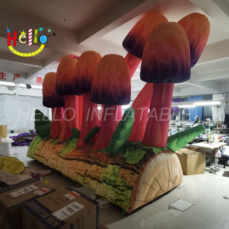 mushroom-5_结果