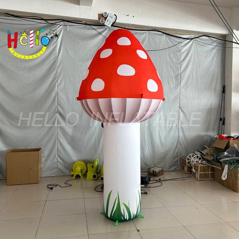 mushroom-5_结果