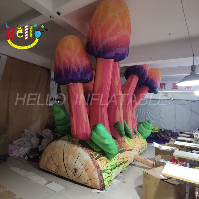 mushroom-6_结果