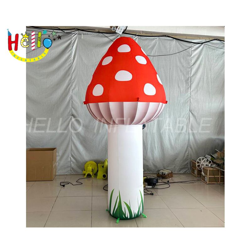 mushroom-6_结果