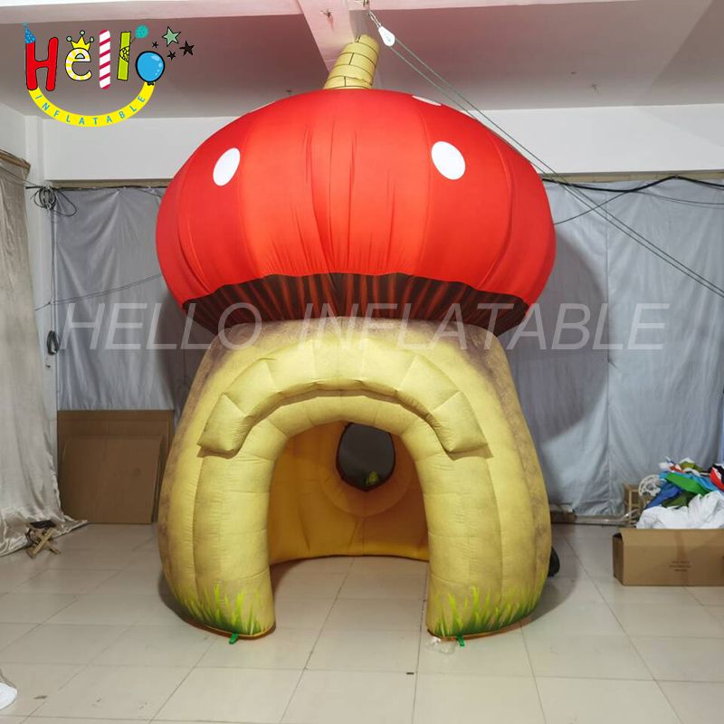 mushroom house-2_结果