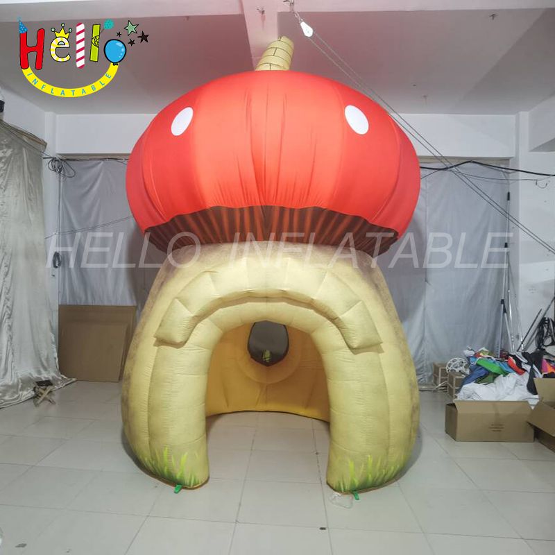 mushroom house-6_结果