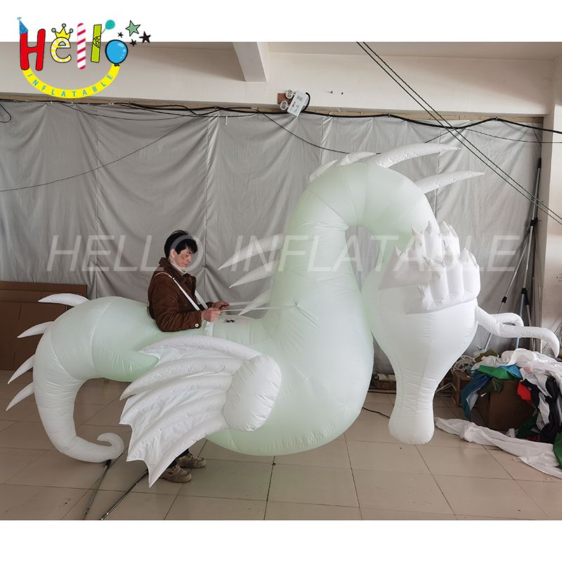 sea horse_结果