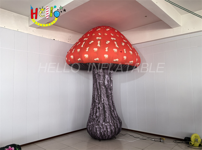 inflatable cartoon