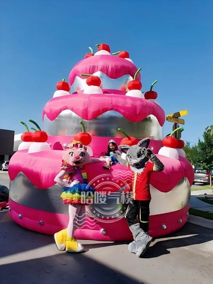 inflatable dessert(4)