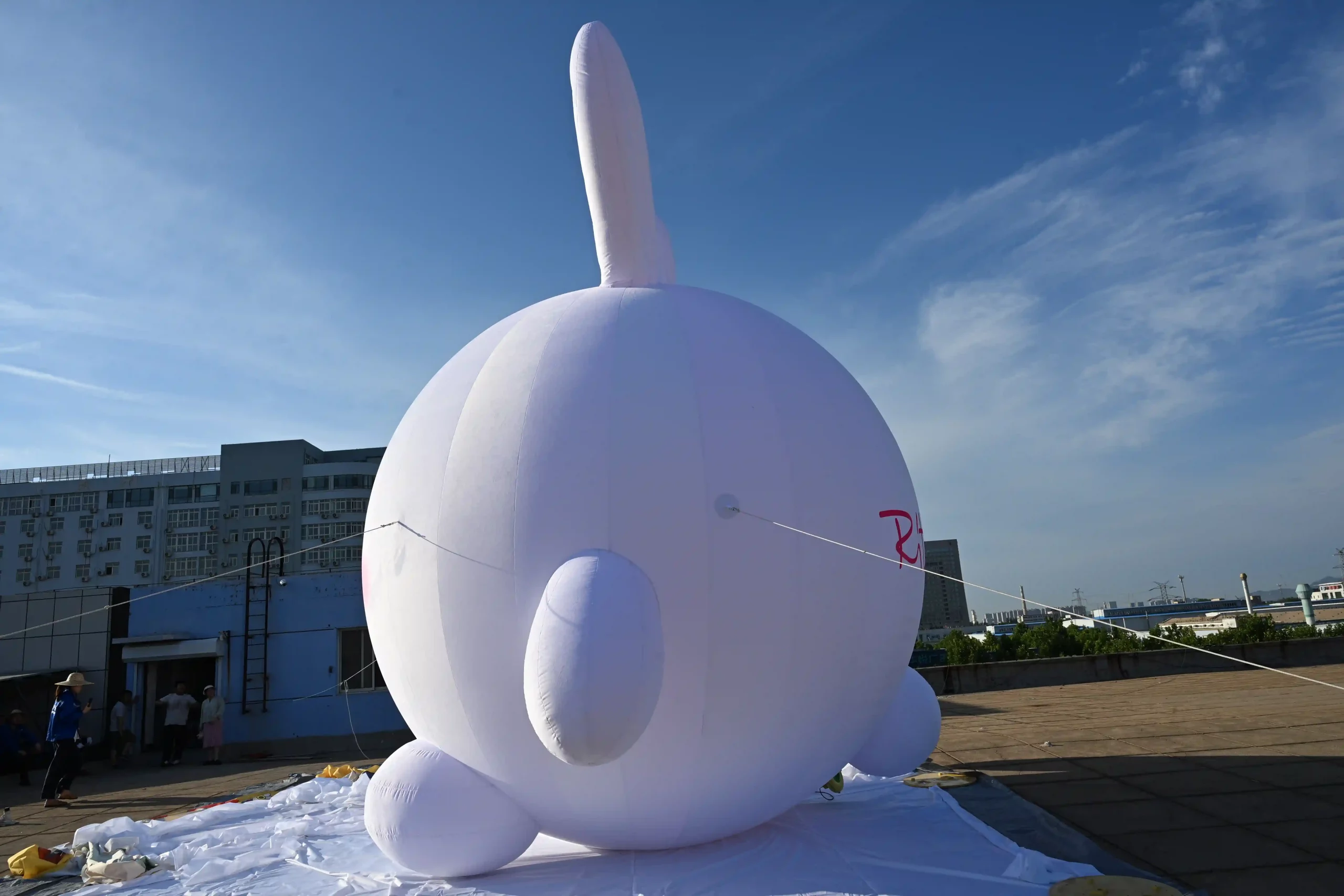 inflatable rabbit cartoon2