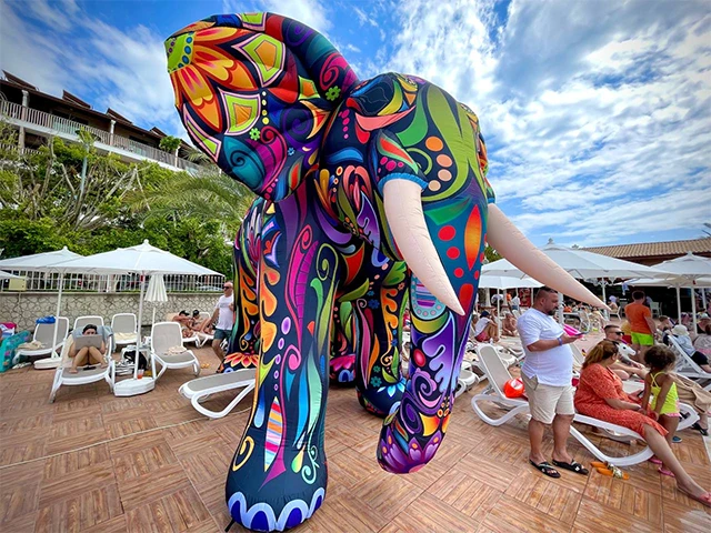 HOME插图12 elephant