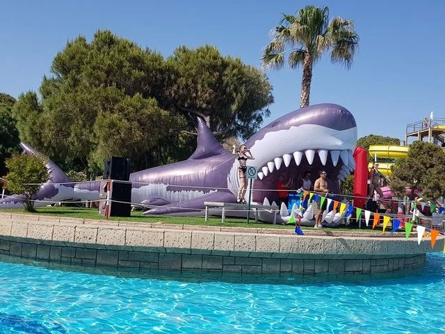 HOME插图24 inflatable_cartoon