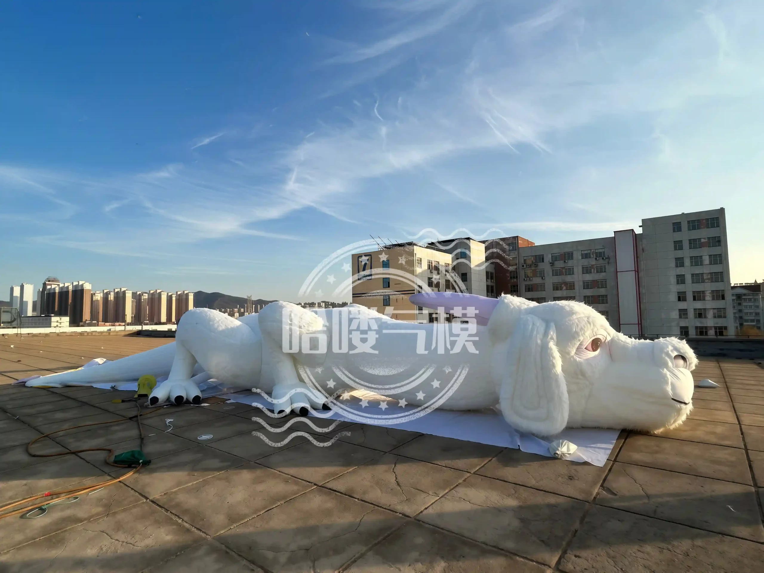 inflatable dragon4
