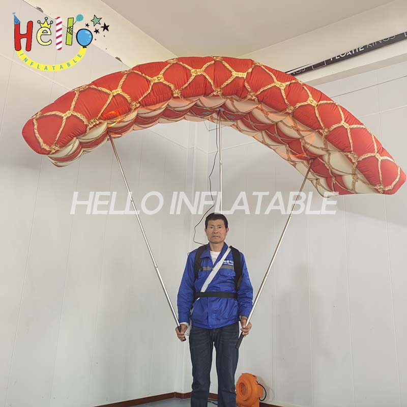 paragliding (4)