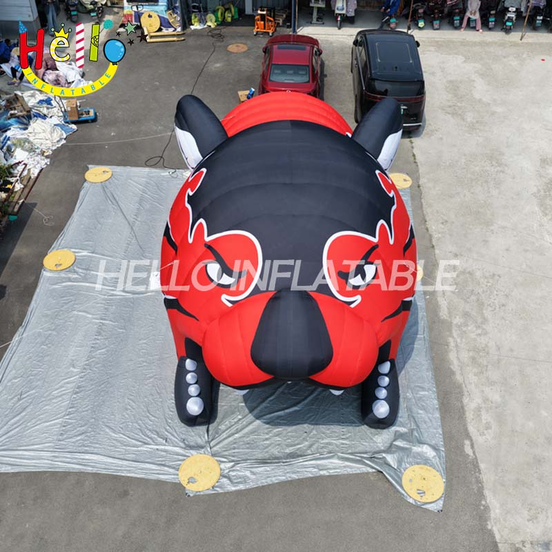 Giant Custom Inflatable Tiger Head Sports Tunnel, Large Black and Red Team Entrance for Football and School Events插图3 Giant Custom Inflatable Tiger Head Sports Tunnel, Large Black and Red Team Entrance for Football and School Events
